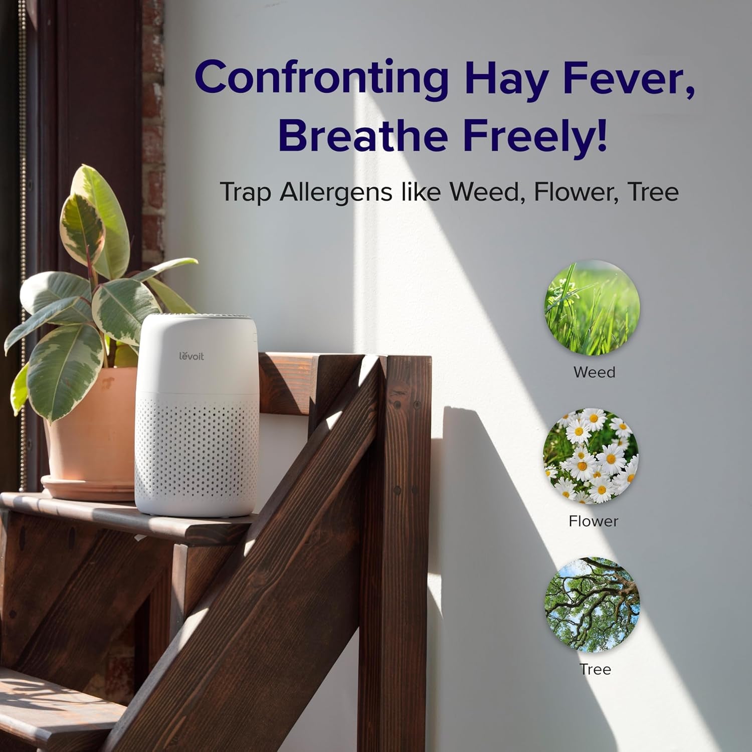 Air Purifier for Bedroom Home, Quiet HEPA Filter Cleaner with Fragrance Sponge & 3 Speed for Better Sleep, Air Frenshener, Allergies, Dust, Pet Dander, Odour, Smoke, Office, Desktop, Core Mini